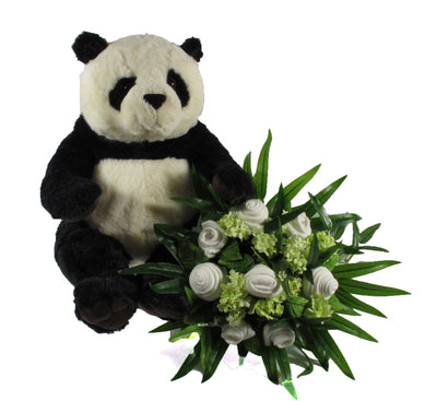 Bamboo Baby- UK's First Giant Panda Cub