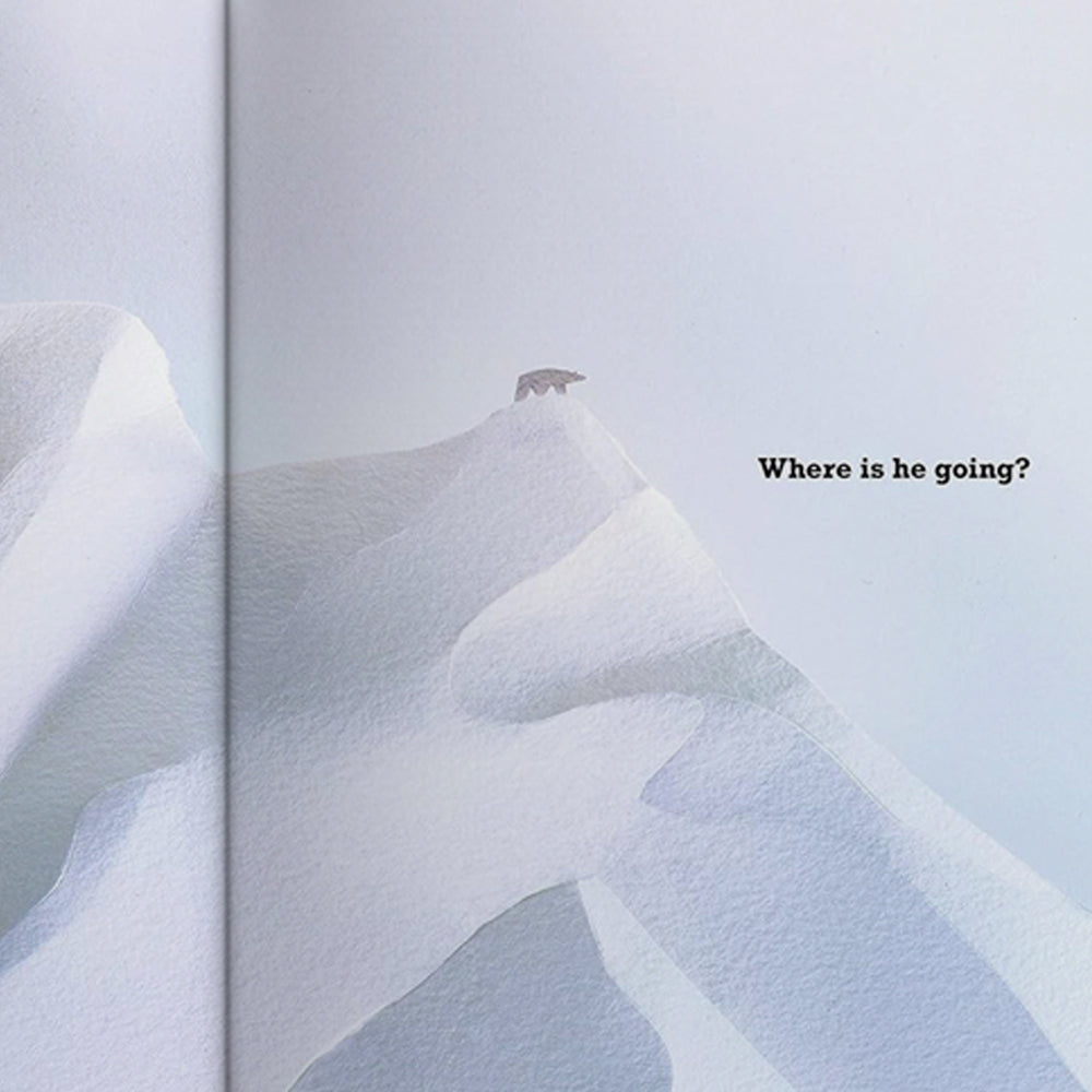 A Polar Bear in the Snow Storybook