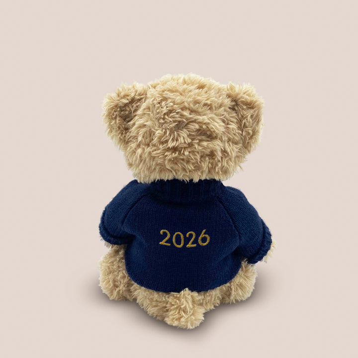 Bertie Year Bear, Navy