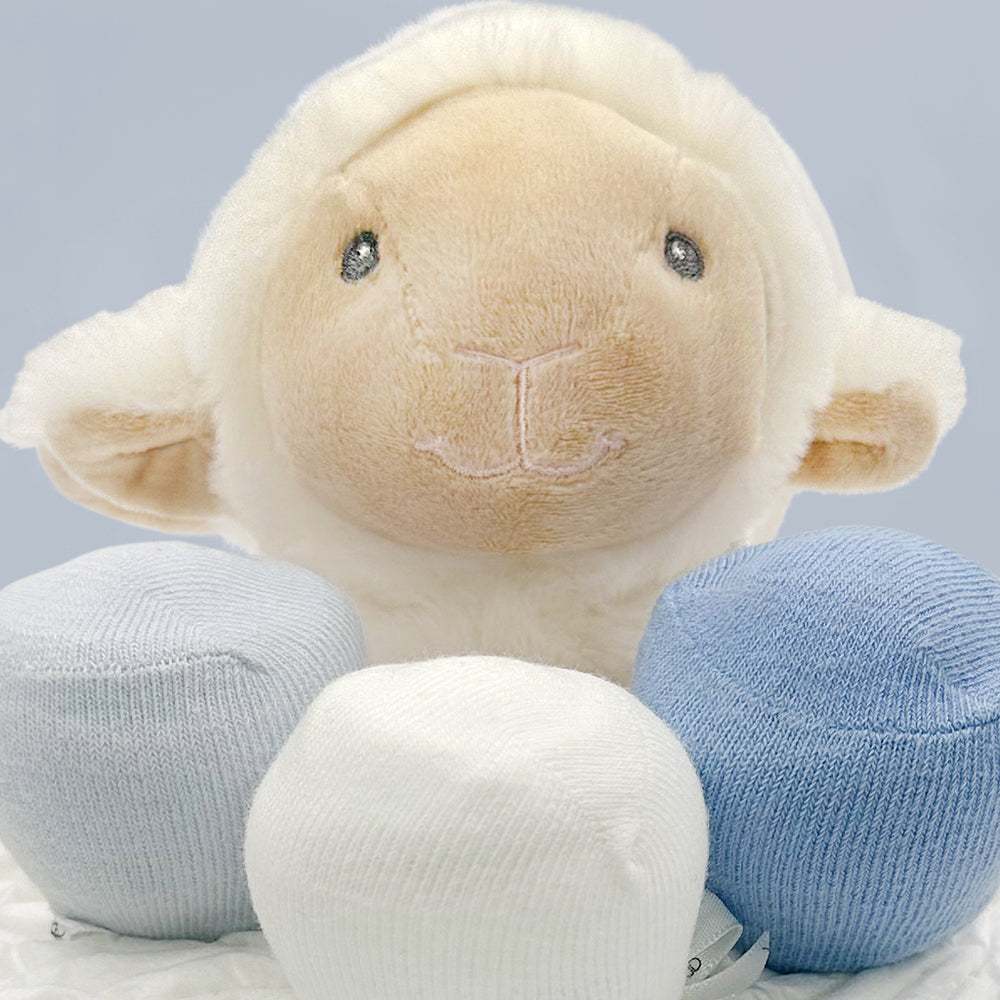 Little Lamb Diaper Cake Blue. Close Up