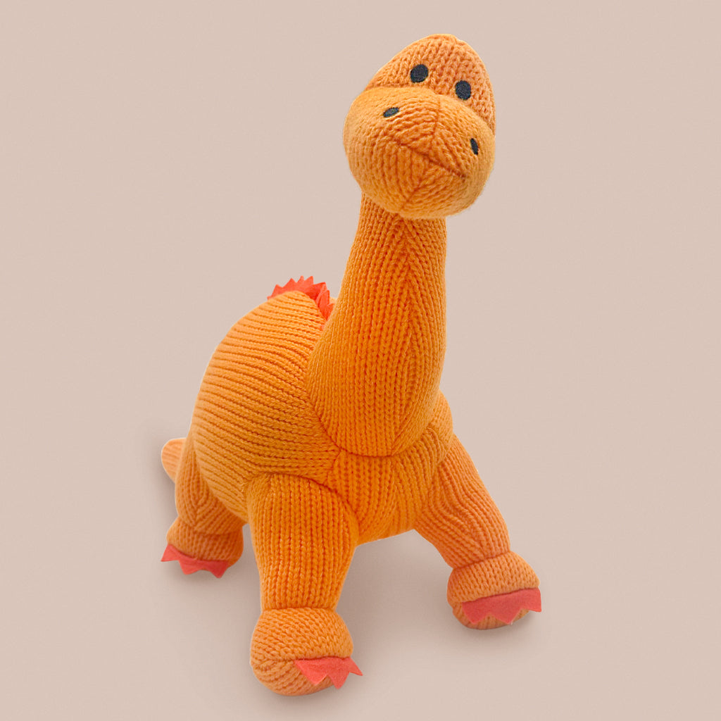 Childrens First Birhtday Present Dinosaur Soft Toy 
