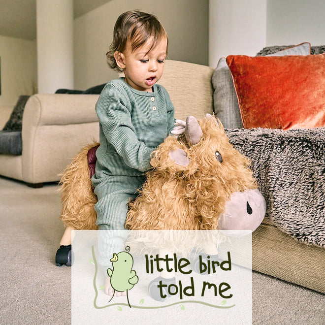 Little Bird Told Me