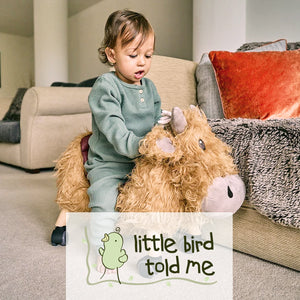 Little Bird Told Me