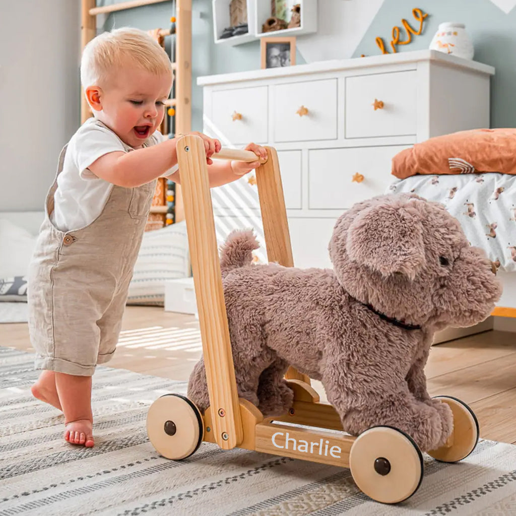 Personalised Bailey Dog Baby Walker