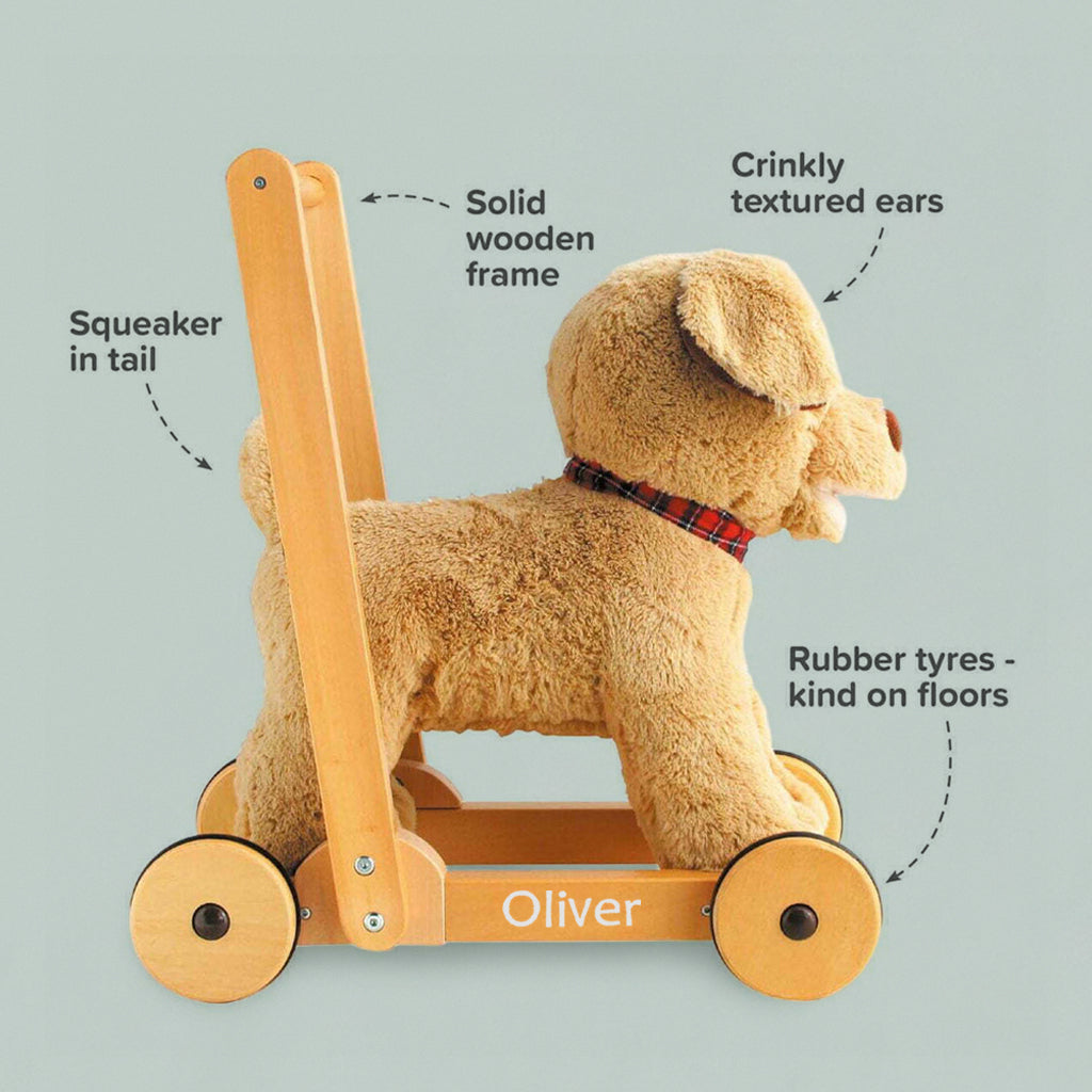 Personalised Dexter Dog Baby Walker