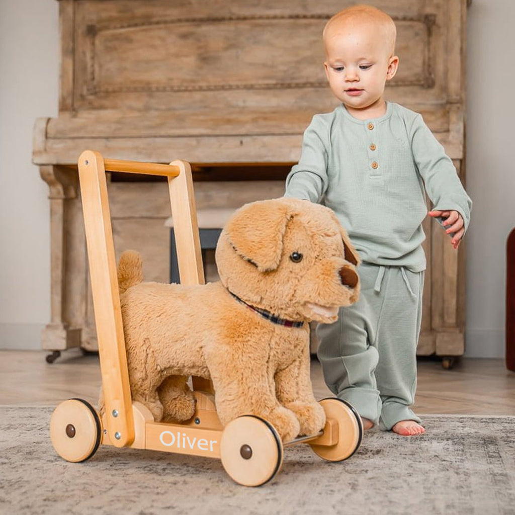 Personalised Dexter Dog Baby Walker