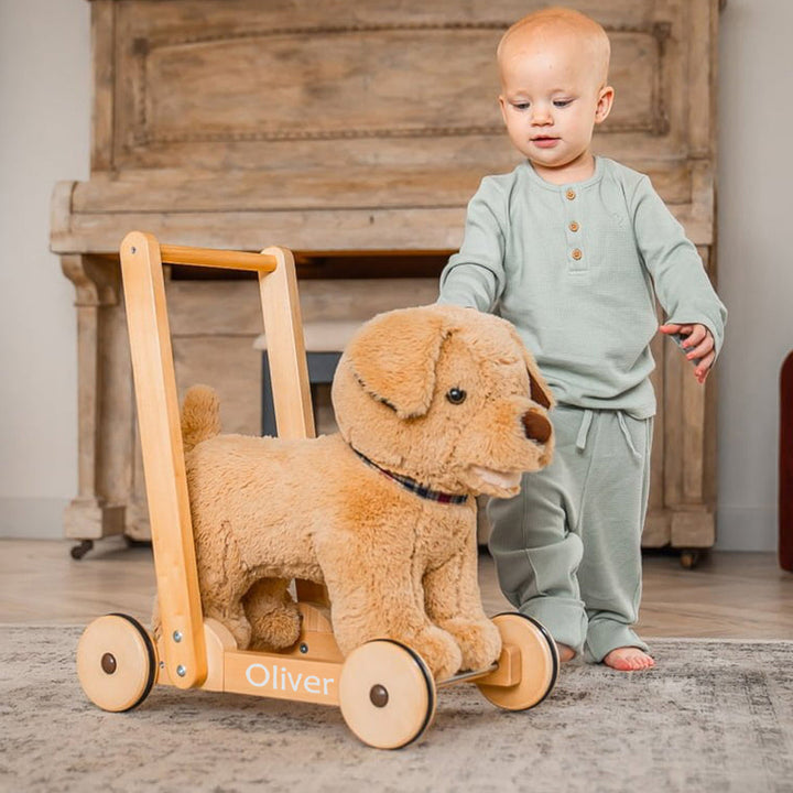 Personalised Dexter Dog Baby Walker