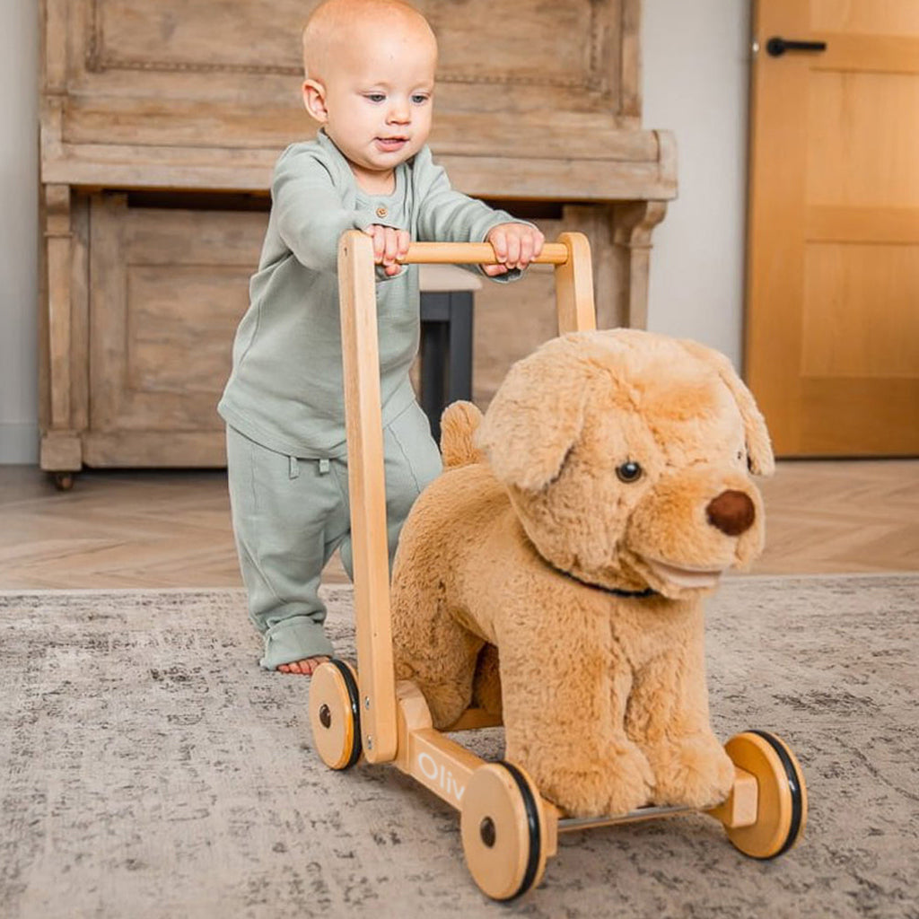 Personalised Dexter Dog Baby Walker