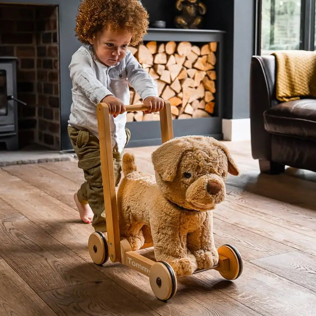 Personalised Dexter Dog Baby Walker