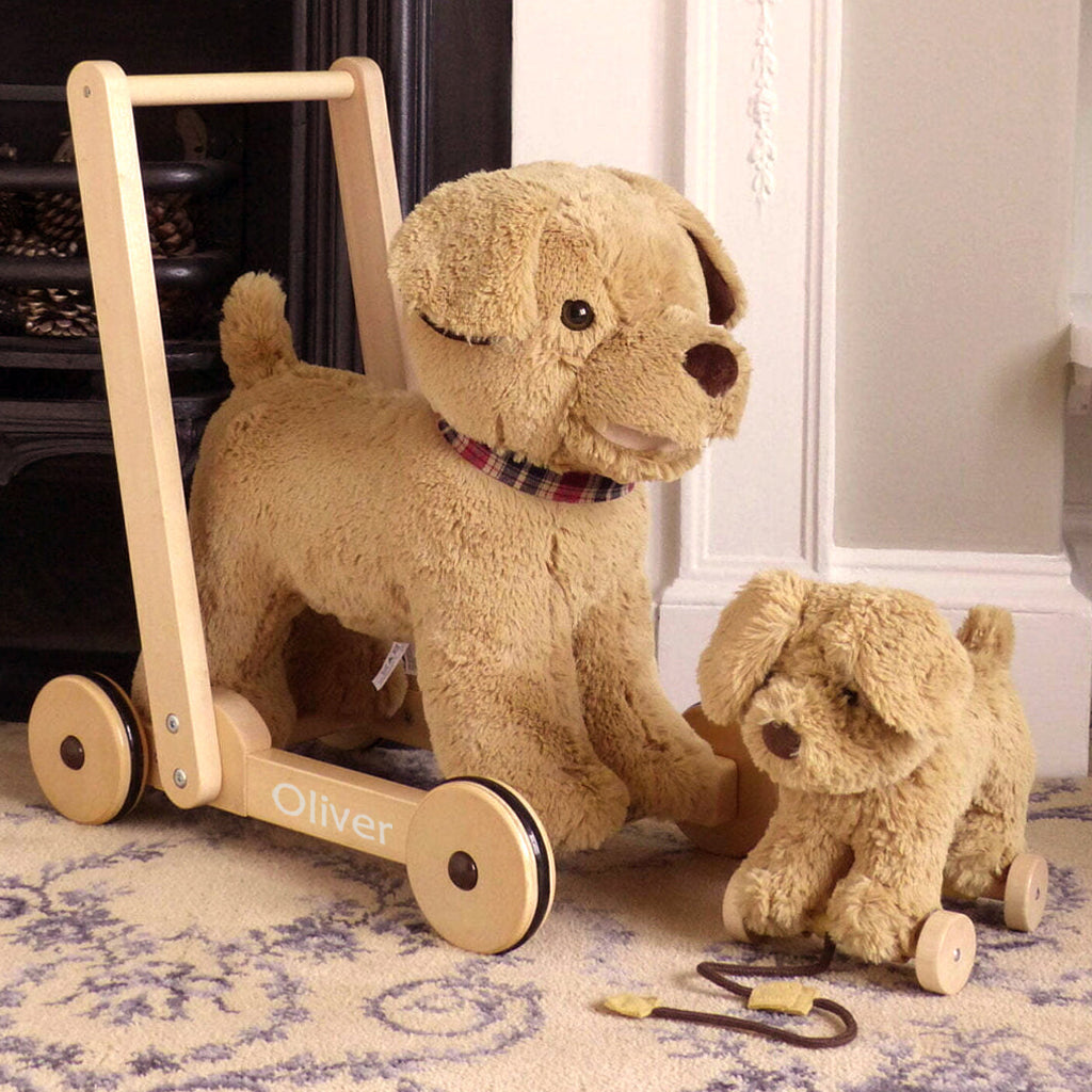 Personalised Dexter Dog Baby Walker