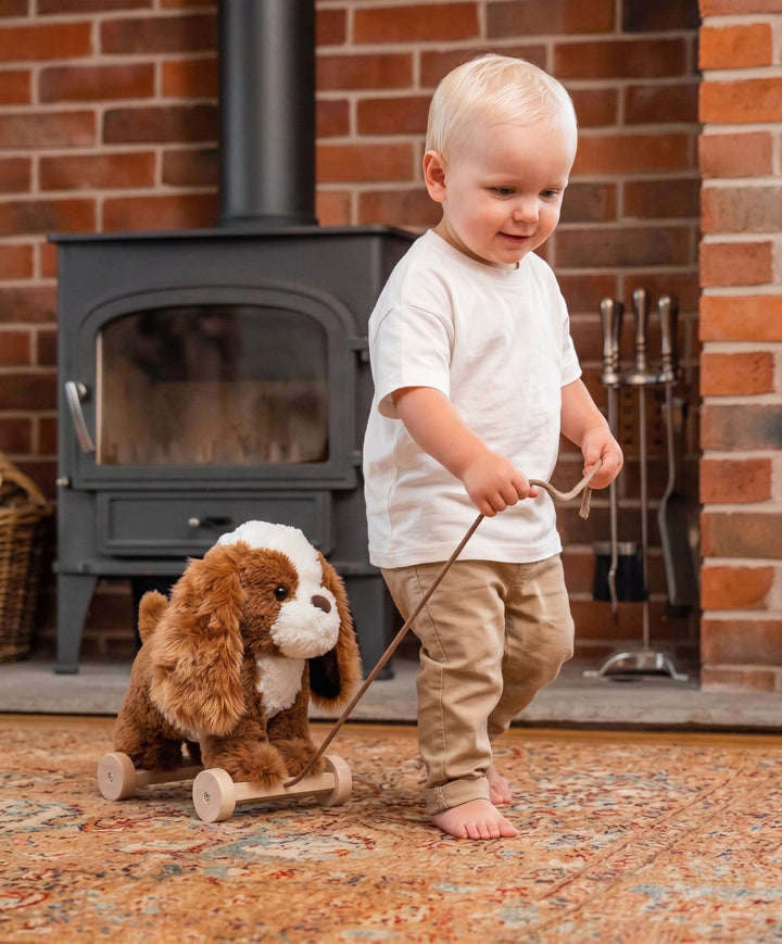Peanut Pup Pull Along Toy