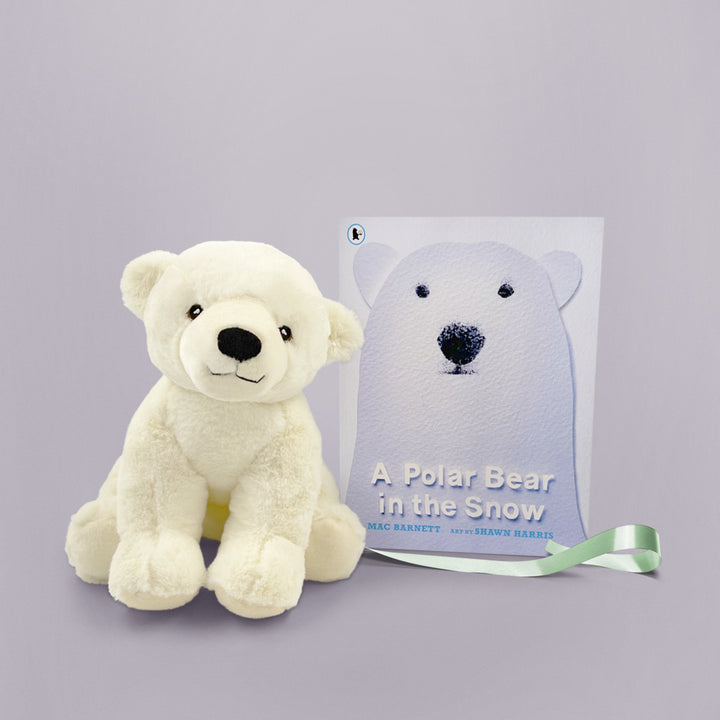 Polar Bear Soft Toy and Book Set