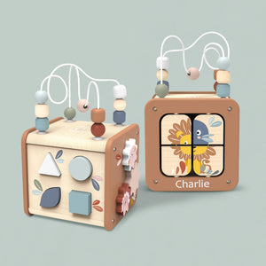 Speedy Monkey Personalised 5-in-1 Activity Cube