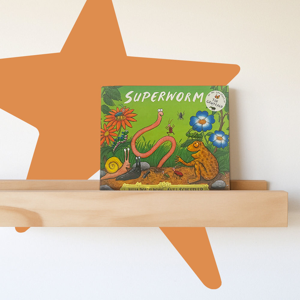Superworm Storybook by Julia Donaldson and Axel Sheffler 