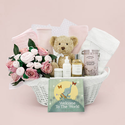 Luxury New Baby Boy Gift Welcome To The World Hamper Pink