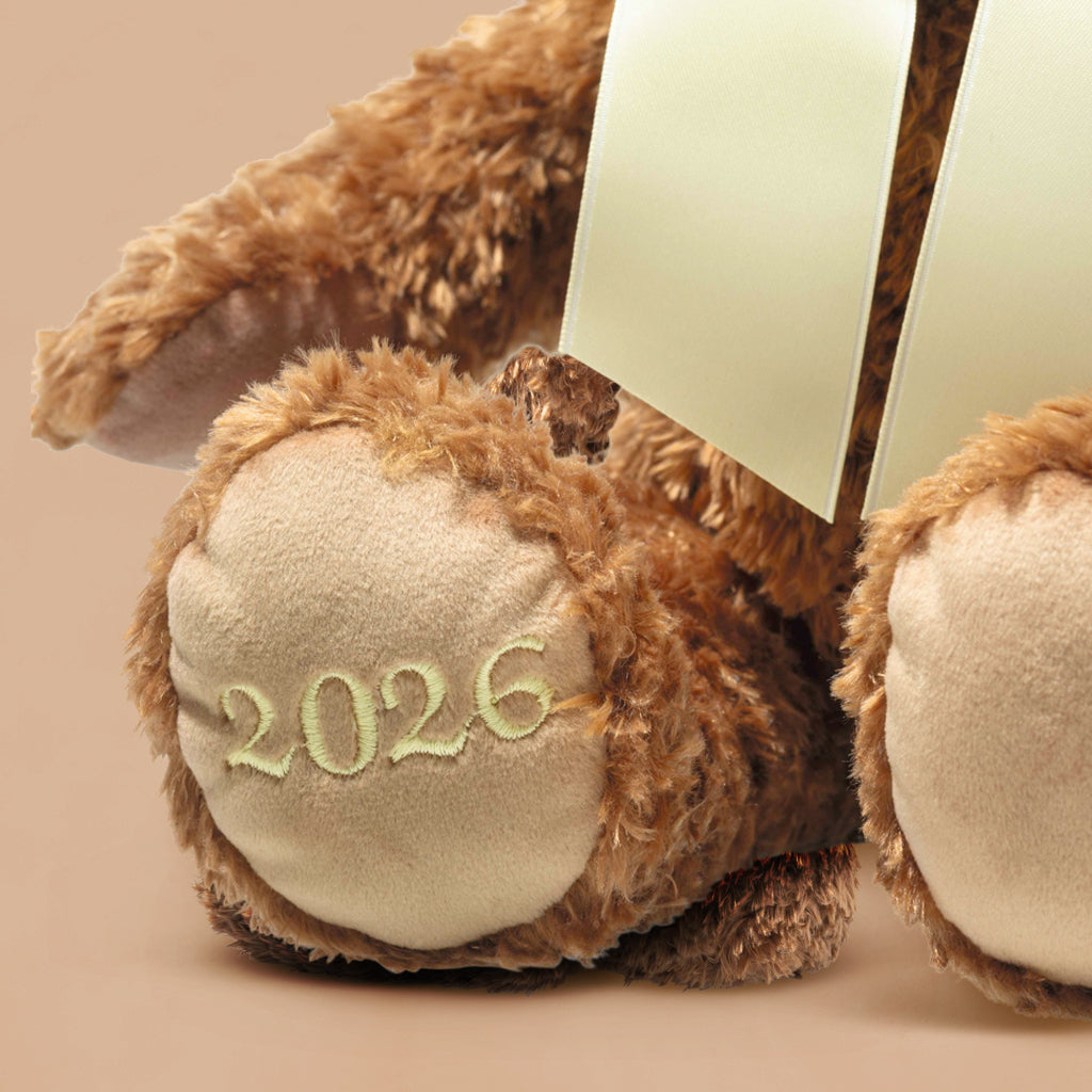 Personalised Steiff Cosy Year Bear