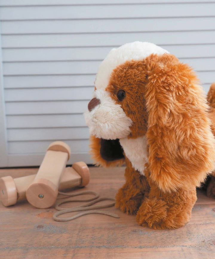 Peanut Pup Pull Along Toy