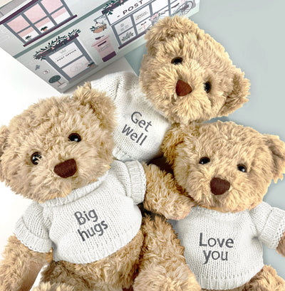 Teddy Bear Send A Bear Hug White