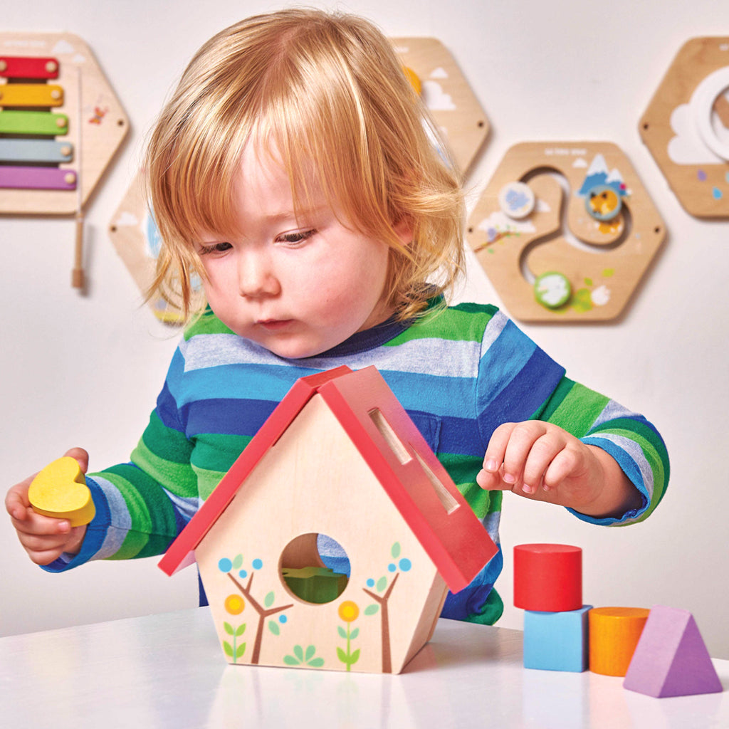 My Little Bird House Wooden Shape Sorter