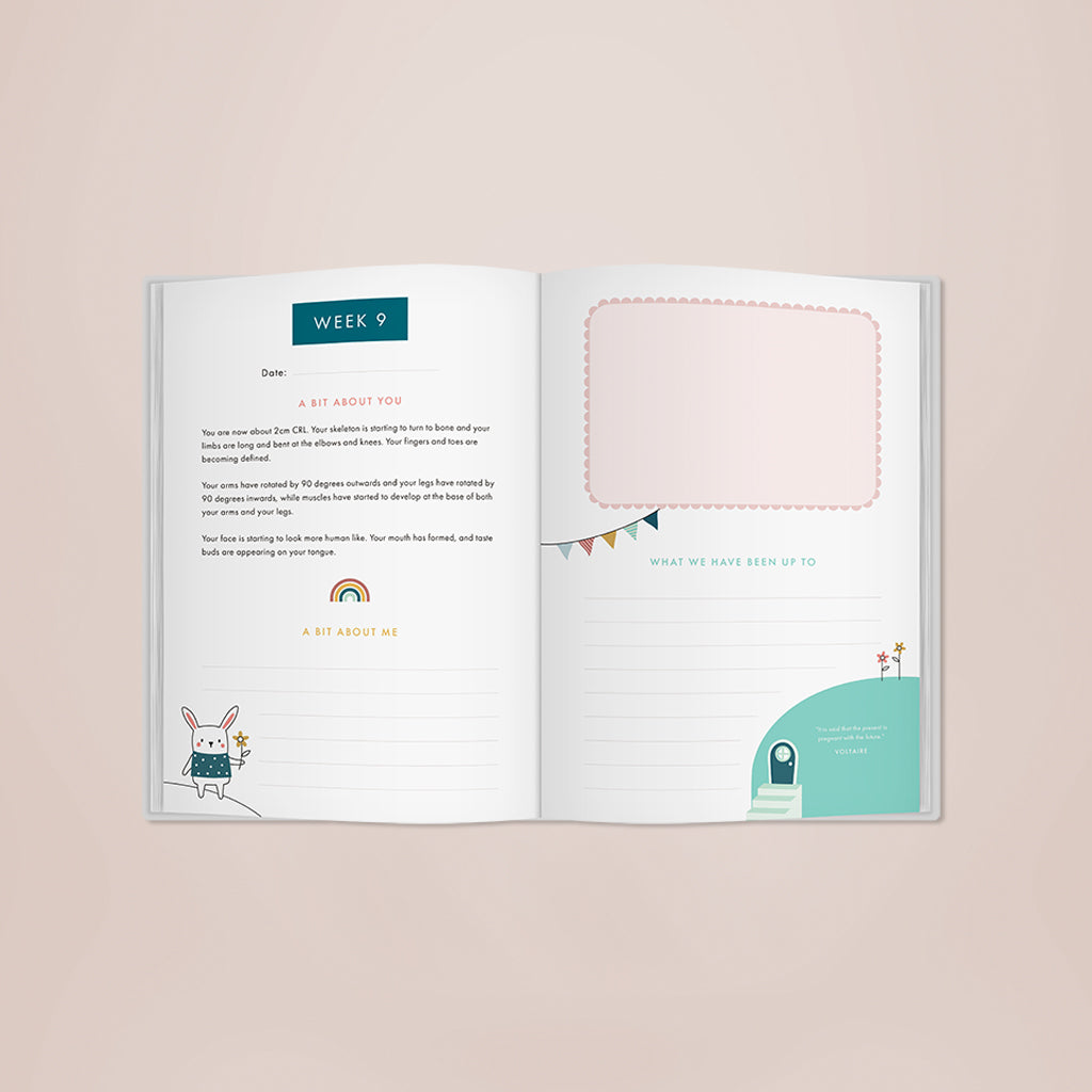 Bump to Birthday Book