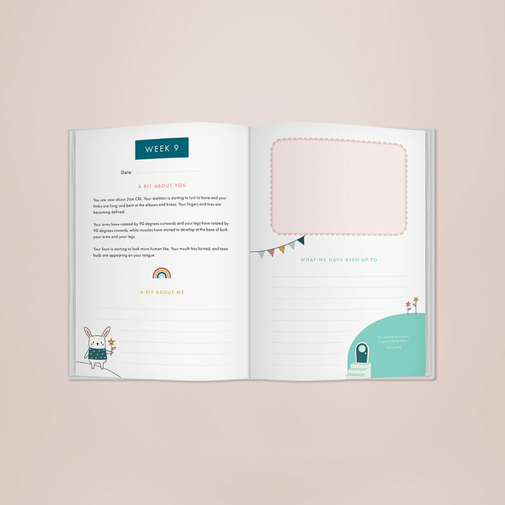 Bump to Birthday Book