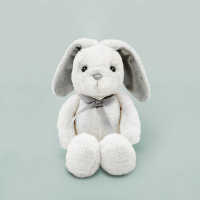 Hopes & Wishes For You Bunny Gift Set
