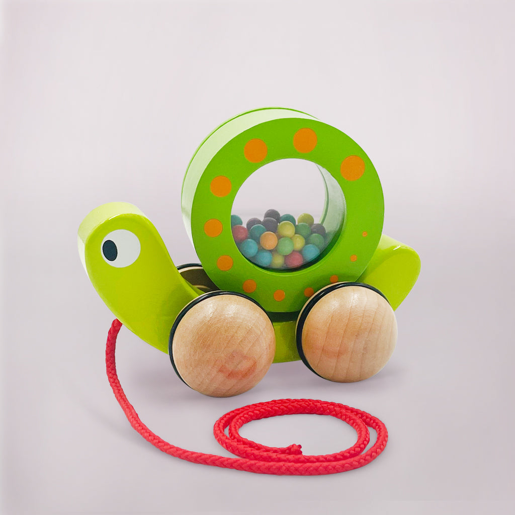 First Birthday Gift Little Bird Told Me Pull Along Snail