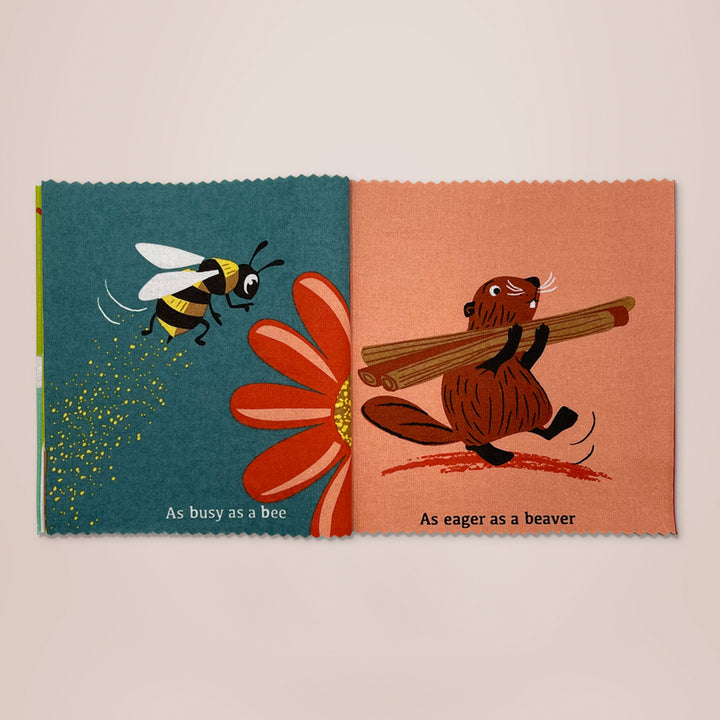 Brave as a Bear Rag Book