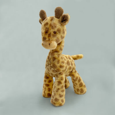 Georgie Giraffe Welcome Hamper, Pink