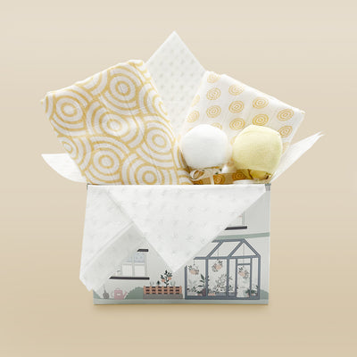 Swaddles and Socks New Baby Gift Set, Neutral