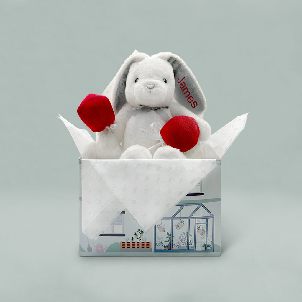 Personalised Valentine Bunny with Baby Sock-Pops