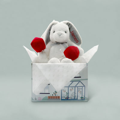 Personalised Valentine Bunny with Baby Sock-Pops