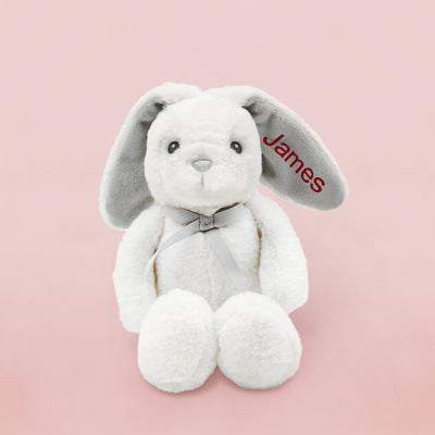 Personalised Valentine Bunny with Baby Sock-Pops