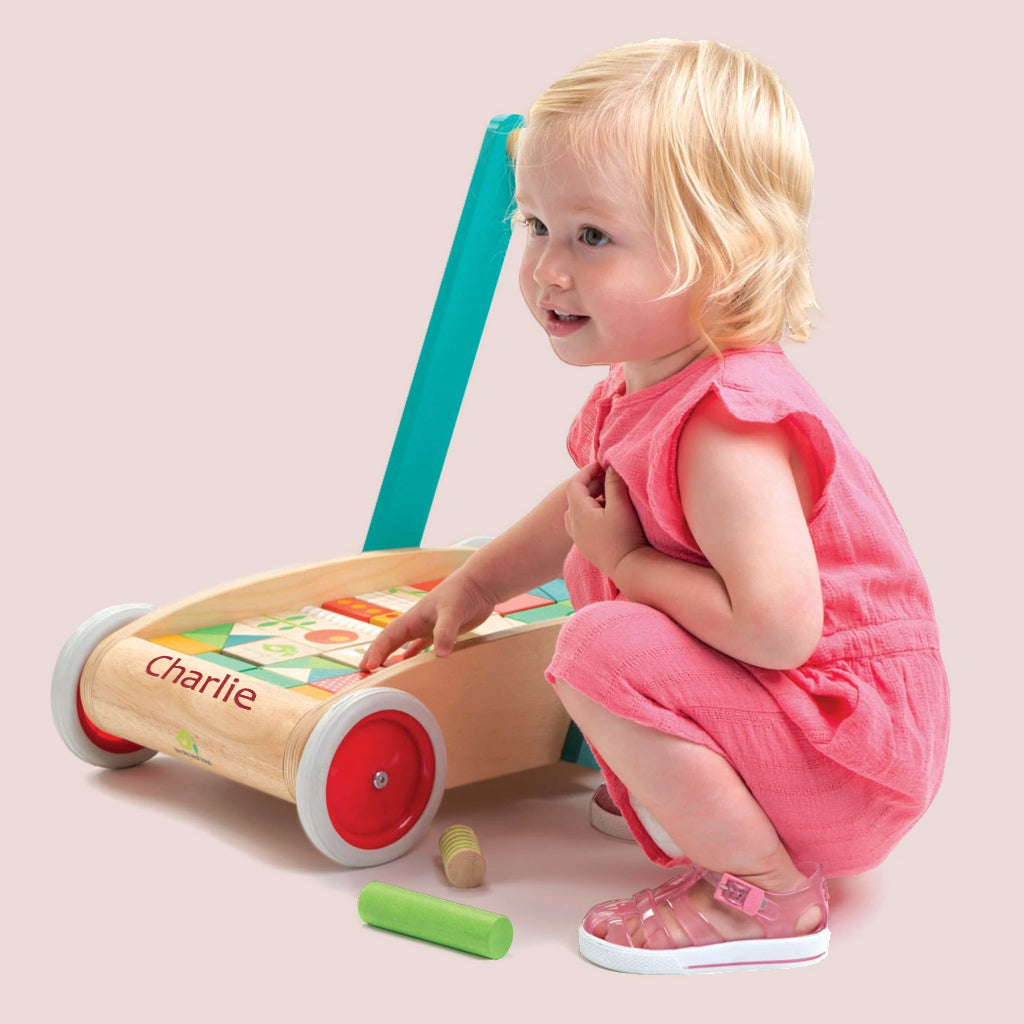 Personalised Classic Baby Block Walker