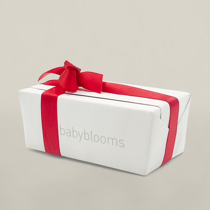 Christmas Ballotin of Belgian Chocolates