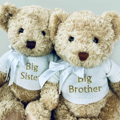 Sibling Gift Teddy Bear