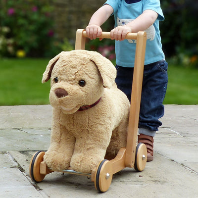Dexter Dog Baby Walker