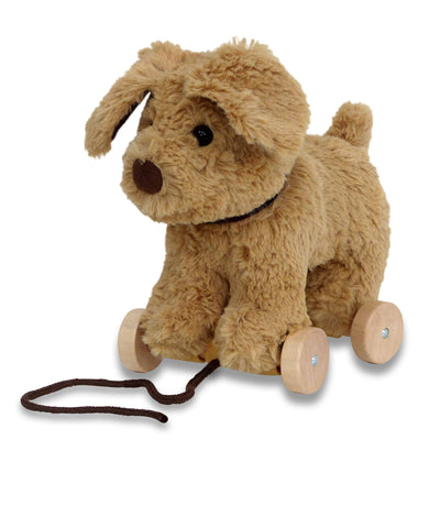 Dexter Dog Pull Along Toy